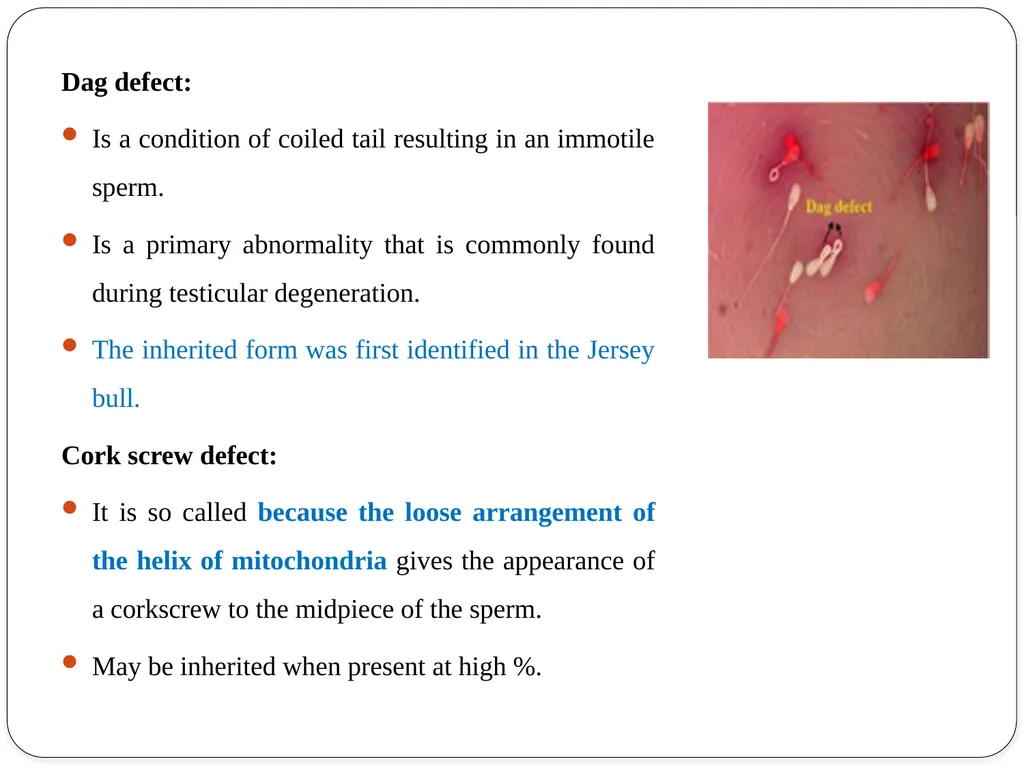 IMPOTENTIA GENERANDI Dr Alok Kumar Introduction - slide 17 of 30