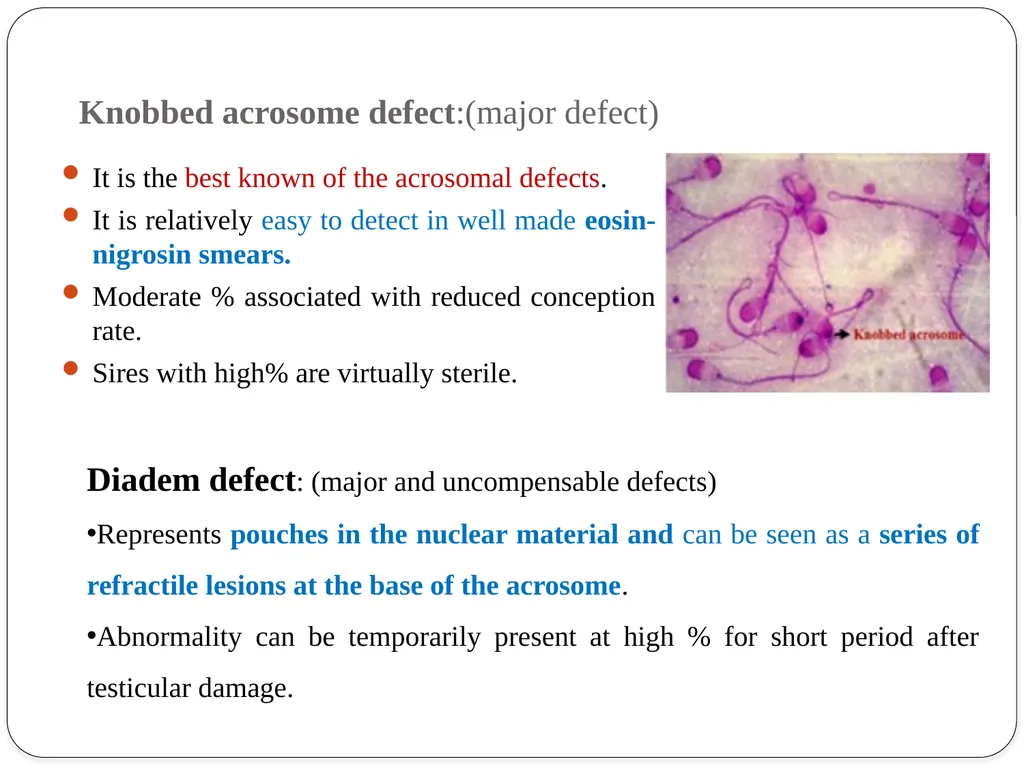 IMPOTENTIA GENERANDI Dr Alok Kumar Introduction - slide 15 of 30