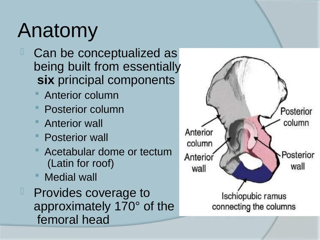 Dr. Irfan Hussain ( Assistant Professor) - slide 3 of 85