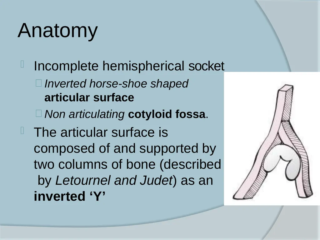 Dr. Irfan Hussain ( Assistant Professor) - slide 4 of 85