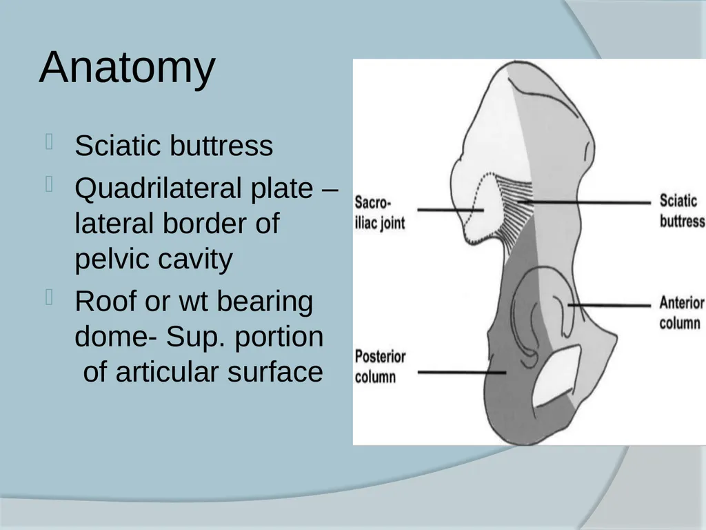 Dr. Irfan Hussain ( Assistant Professor) - slide 6 of 85