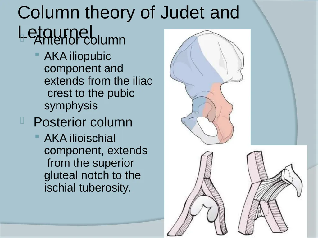 Dr. Irfan Hussain ( Assistant Professor) - slide 5 of 85