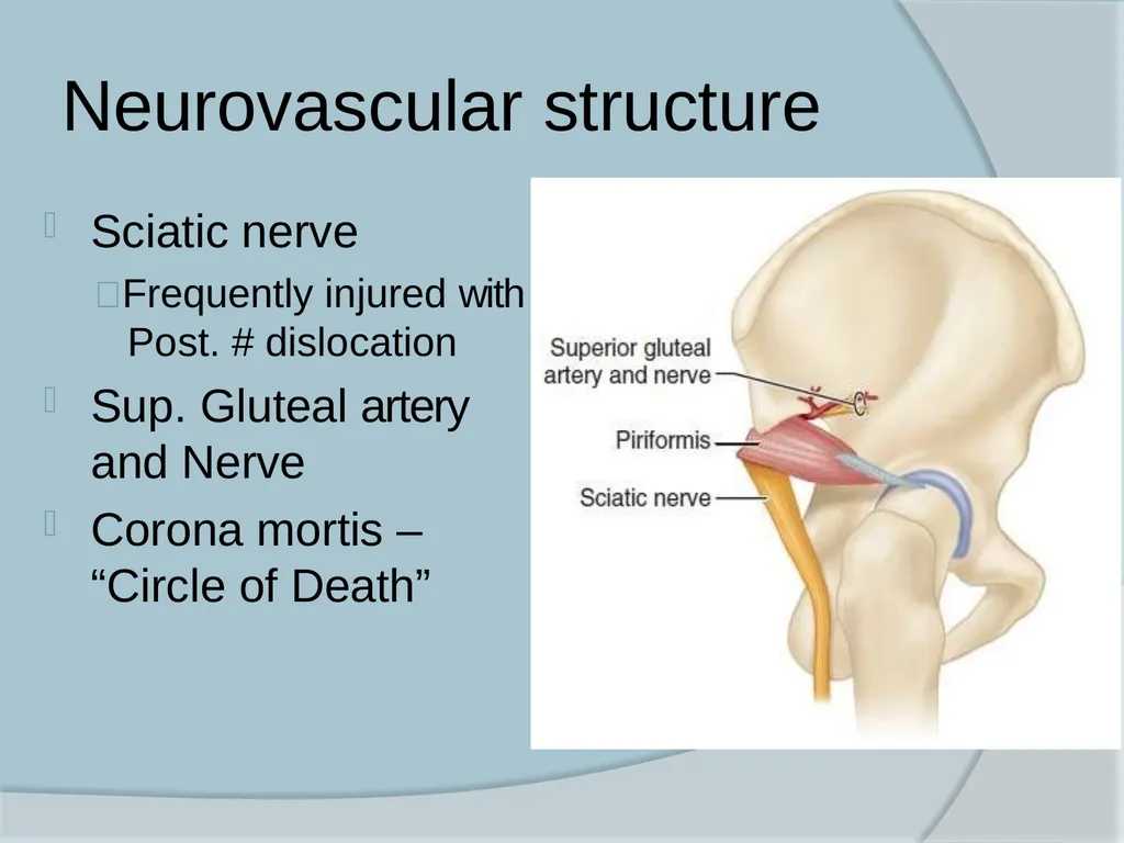 Dr. Irfan Hussain ( Assistant Professor) - slide 8 of 85