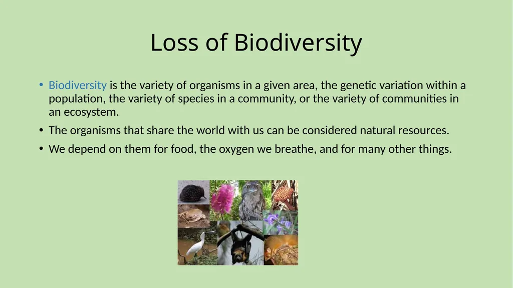 Chapter 1 Science and the Environment Section 1: - slide 37 of 38