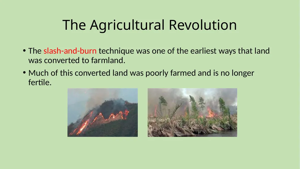 Chapter 1 Science and the Environment Section 1: - slide 14 of 38