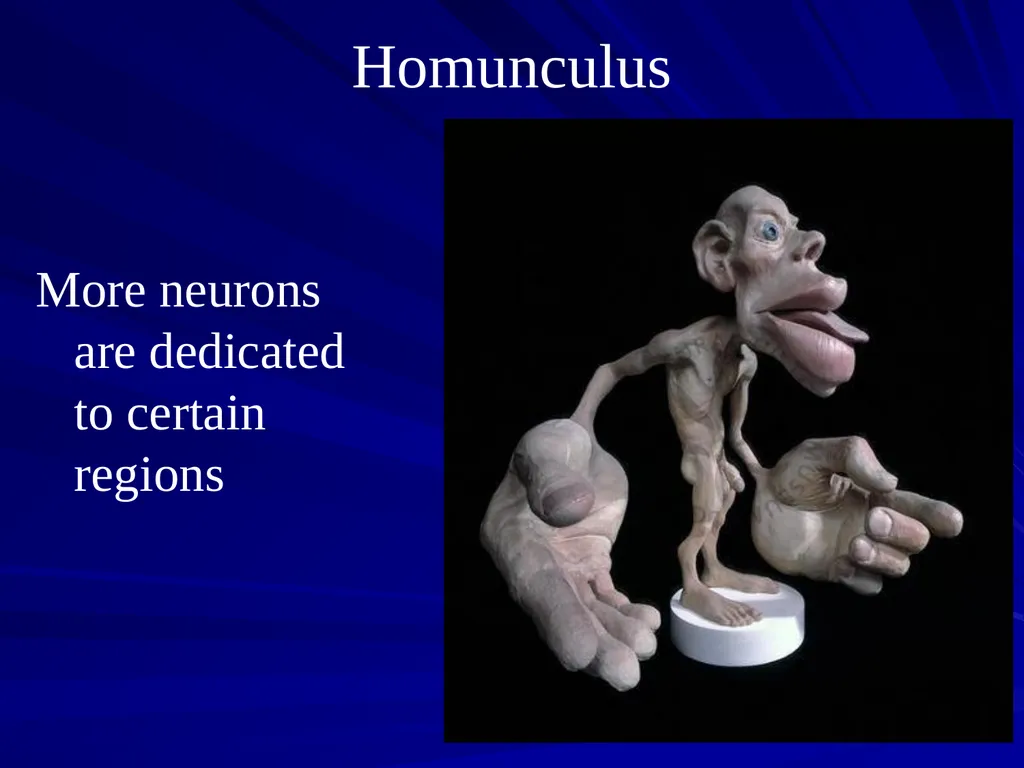Compensatory Skills: Essential Considerations for - slide 3 of 54
