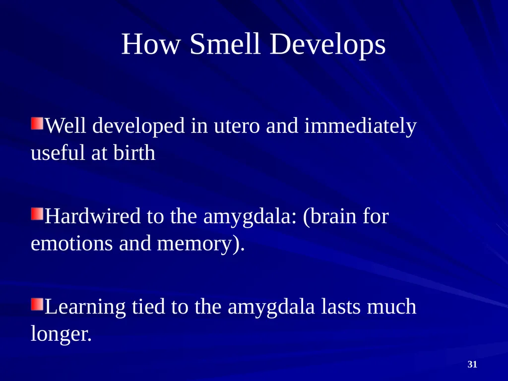 Compensatory Skills: Essential Considerations for - slide 31 of 54