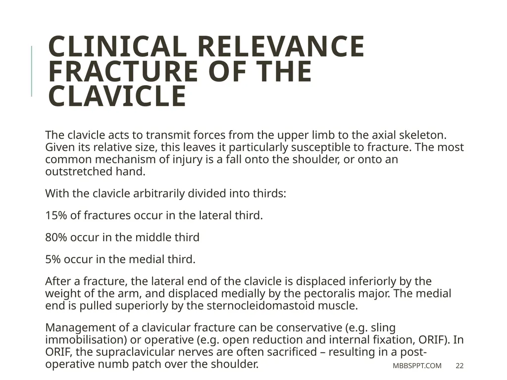 The clavicle (collar bone) BY MBBSPPT.COM The - slide 22 of 26