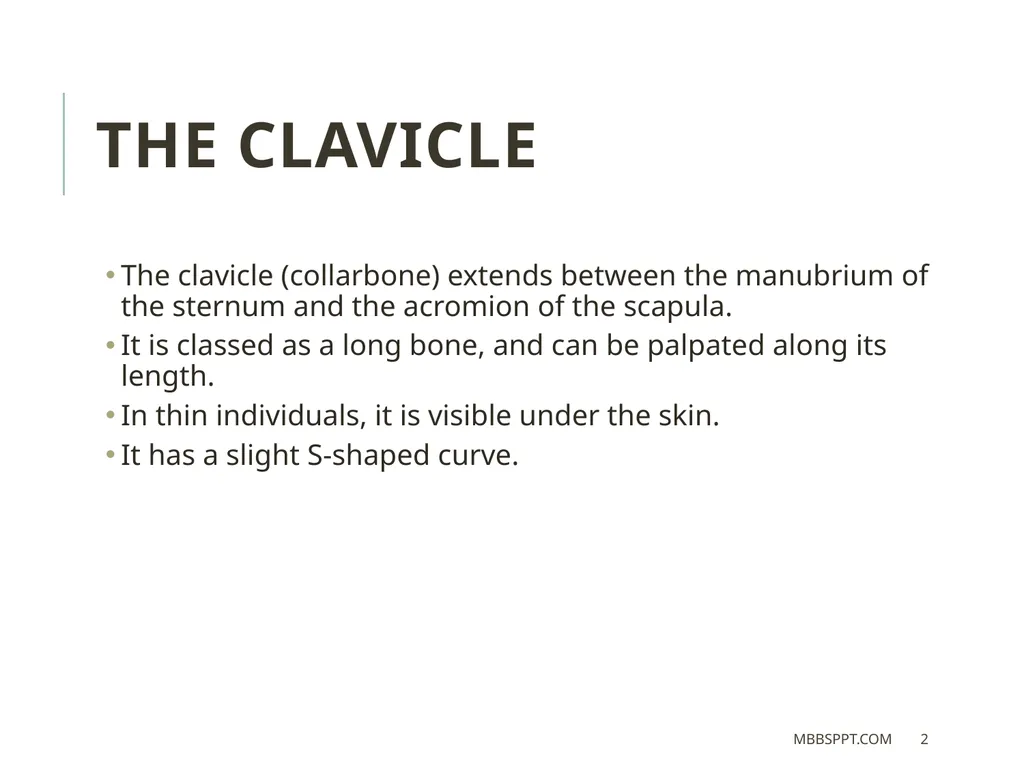 The clavicle (collar bone) BY MBBSPPT.COM The - slide 2 of 26