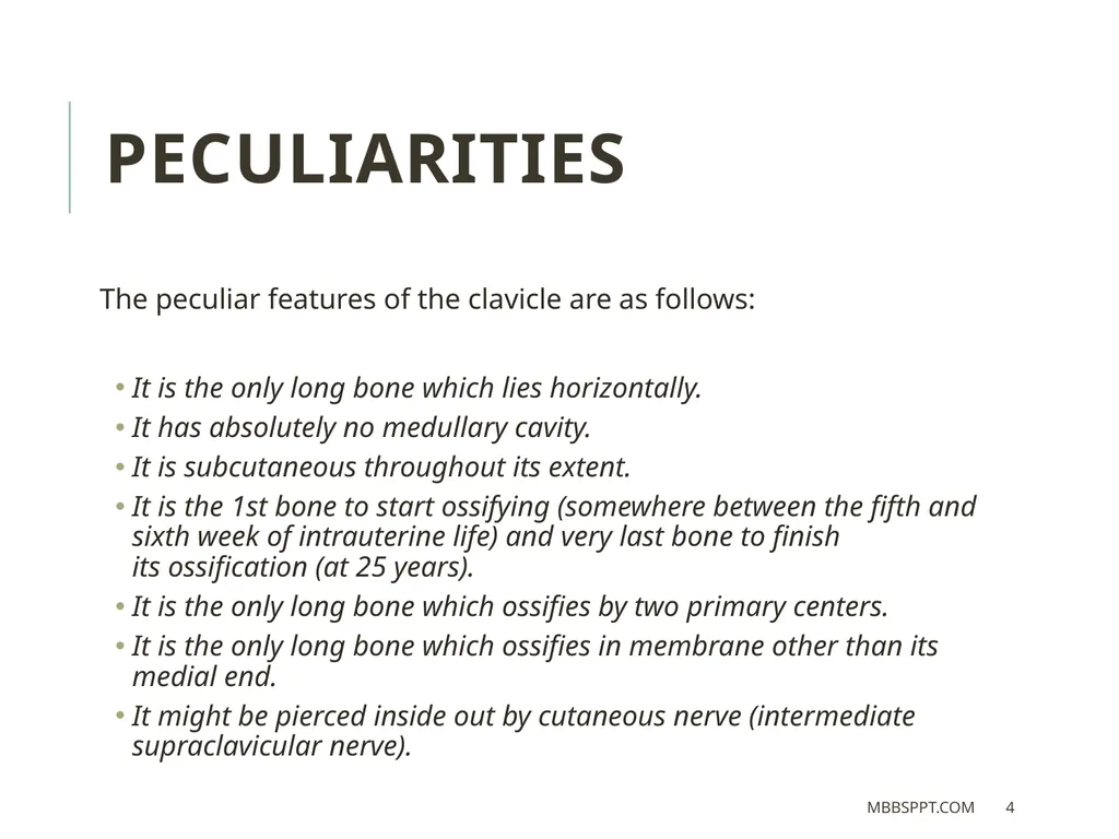 The clavicle (collar bone) BY MBBSPPT.COM The - slide 4 of 26