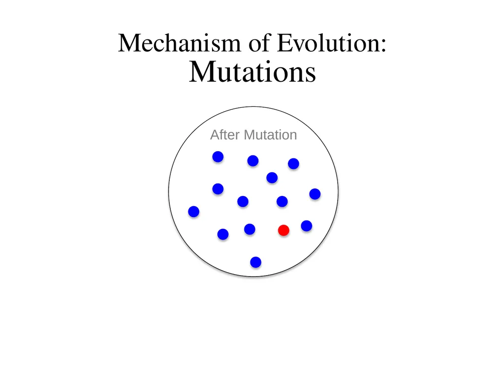 Natural Selection Mutations Recombination Gene - slide 35 of 59