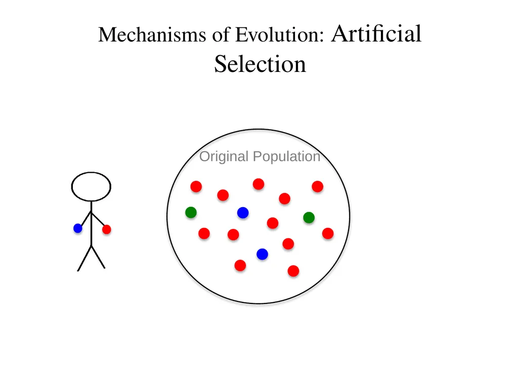 Natural Selection Mutations Recombination Gene - slide 46 of 59