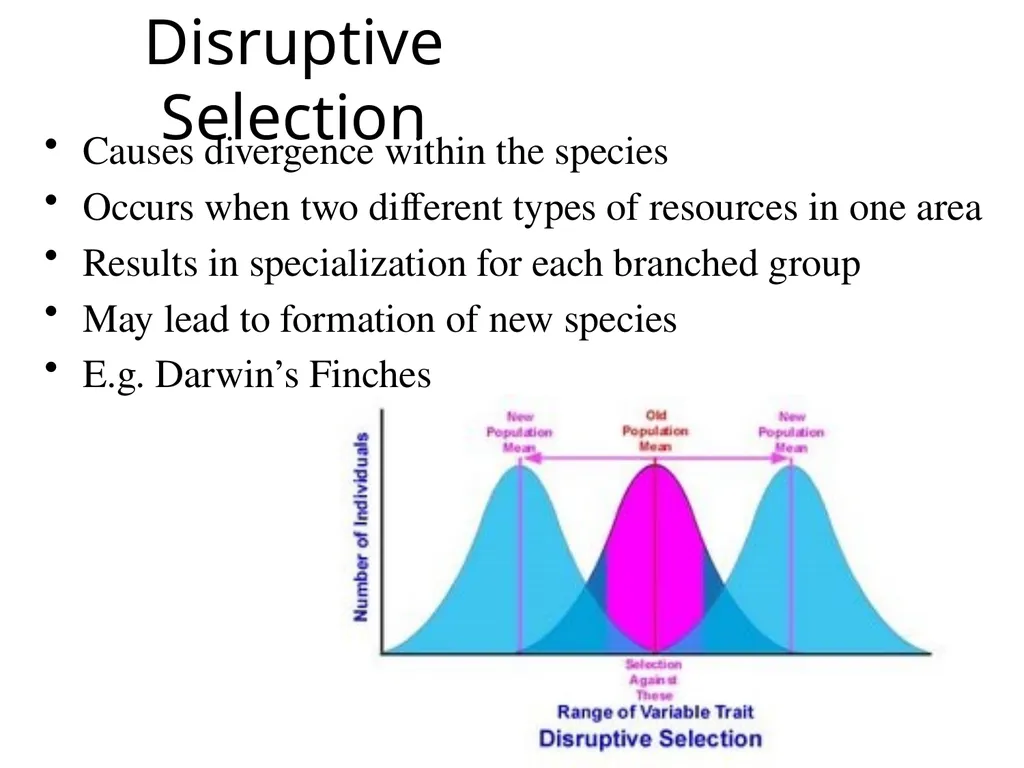 Natural Selection Mutations Recombination Gene - slide 20 of 59