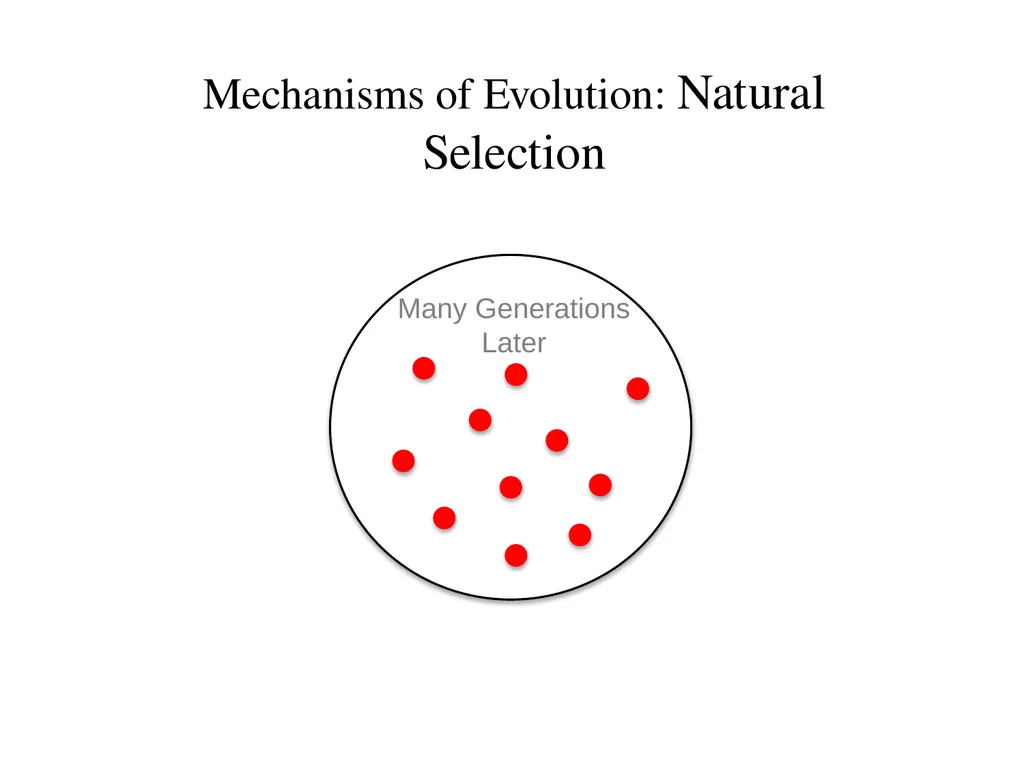 Natural Selection Mutations Recombination Gene - slide 33 of 59