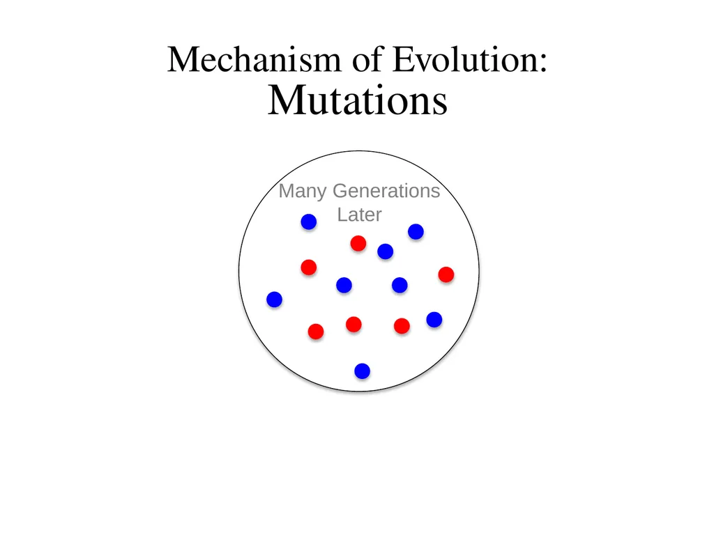 Natural Selection Mutations Recombination Gene - slide 36 of 59