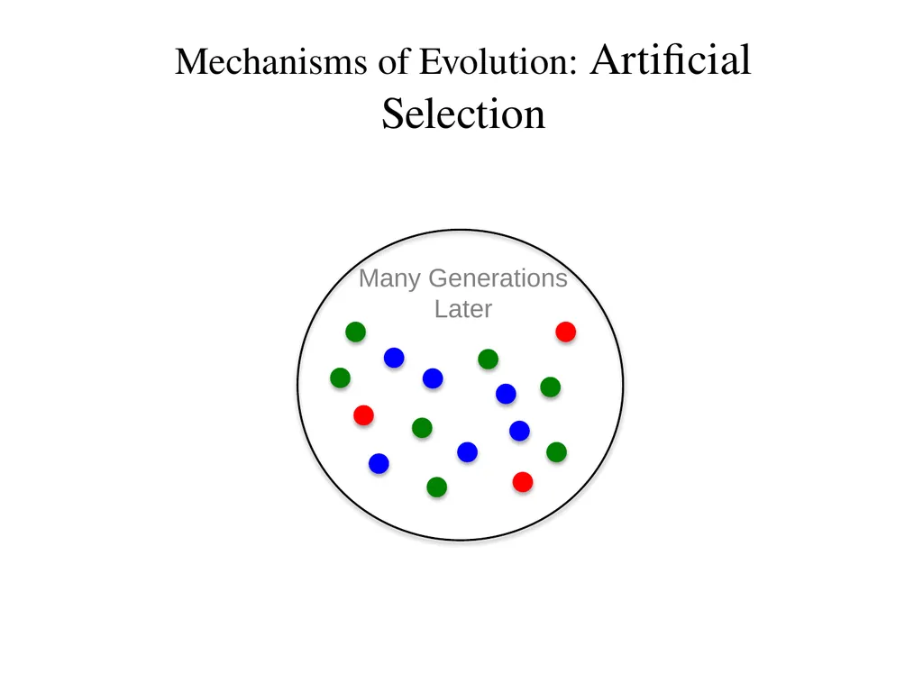 Natural Selection Mutations Recombination Gene - slide 47 of 59
