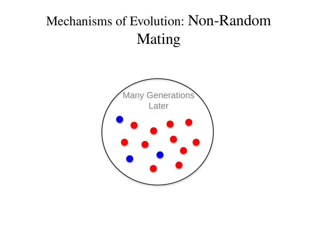 Natural Selection Mutations Recombination Gene - slide 50 of 59