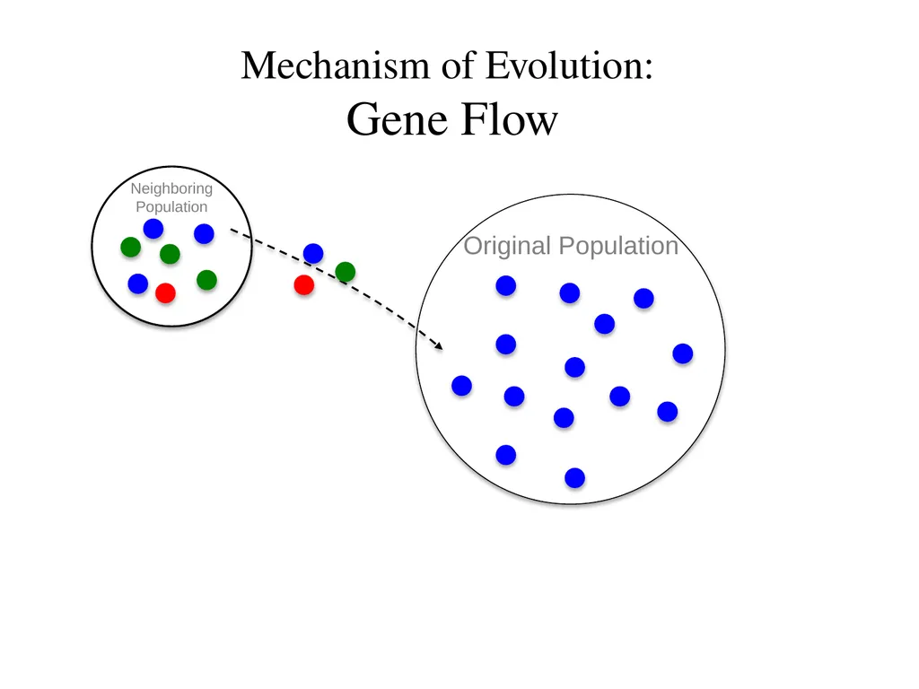 Natural Selection Mutations Recombination Gene - slide 38 of 59