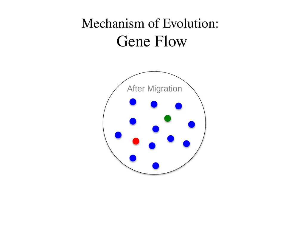 Natural Selection Mutations Recombination Gene - slide 39 of 59