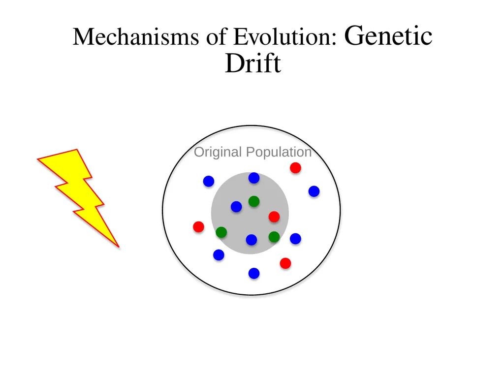 Natural Selection Mutations Recombination Gene - slide 42 of 59