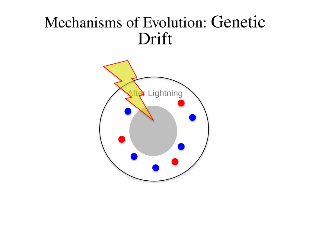 Natural Selection Mutations Recombination Gene - slide 43 of 59