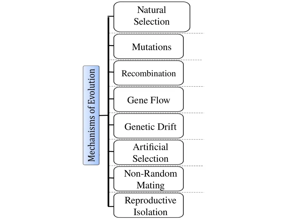 Natural Selection Mutations Recombination Gene - slide 3 of 59