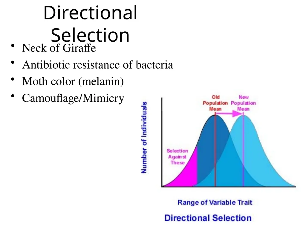 Natural Selection Mutations Recombination Gene - slide 17 of 59