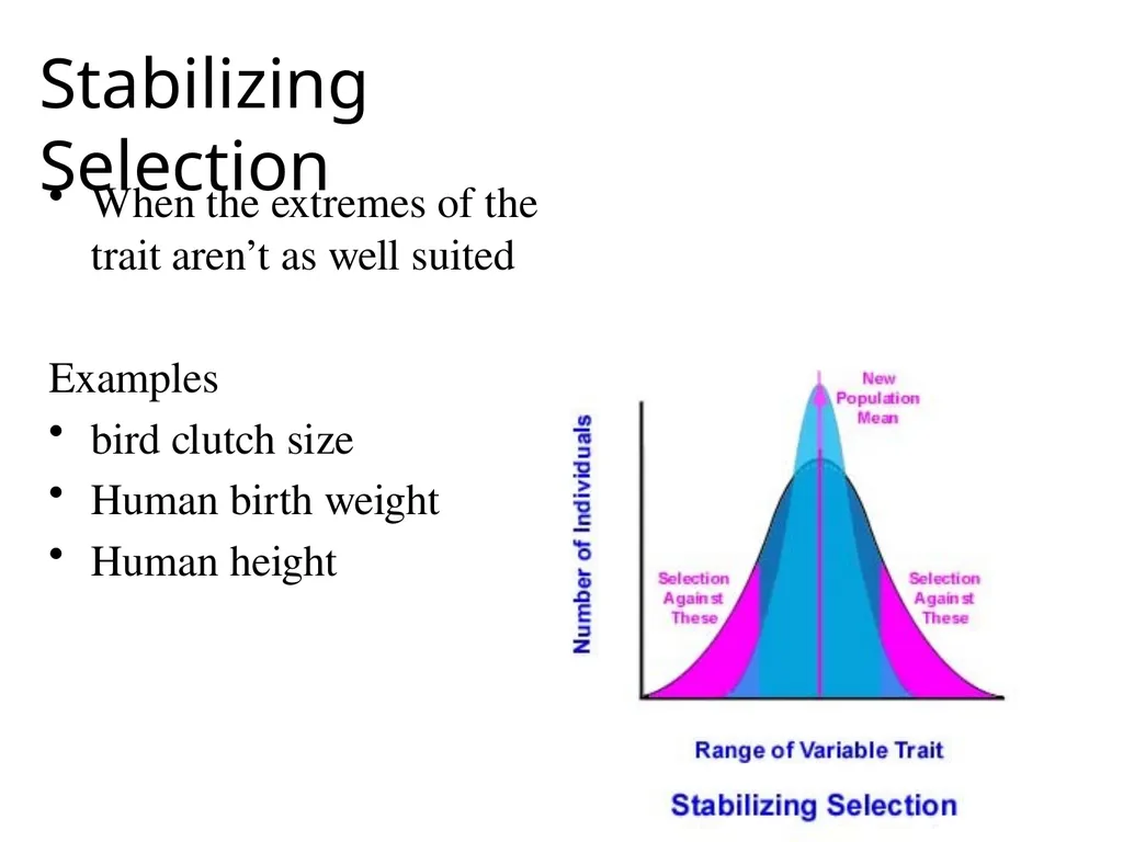 Natural Selection Mutations Recombination Gene - slide 19 of 59