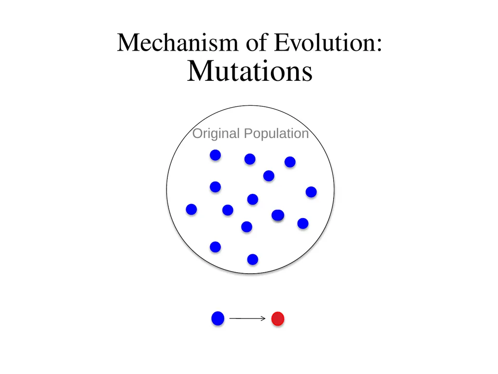 Natural Selection Mutations Recombination Gene - slide 34 of 59