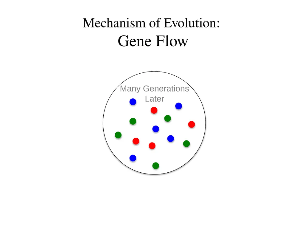 Natural Selection Mutations Recombination Gene - slide 40 of 59