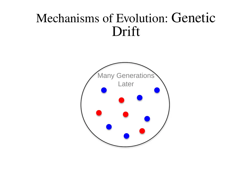 Natural Selection Mutations Recombination Gene - slide 44 of 59