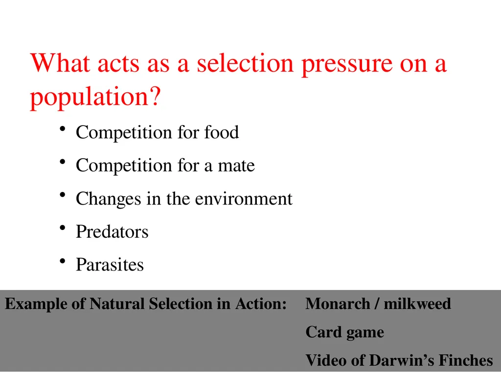 Natural Selection Mutations Recombination Gene - slide 22 of 59