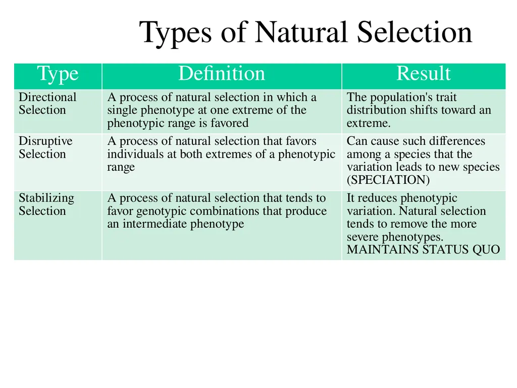 Natural Selection Mutations Recombination Gene - slide 27 of 59