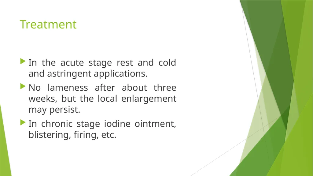 LAMENESS PART -V Fourth Professional(OLD) Dr. - slide 6 of 10