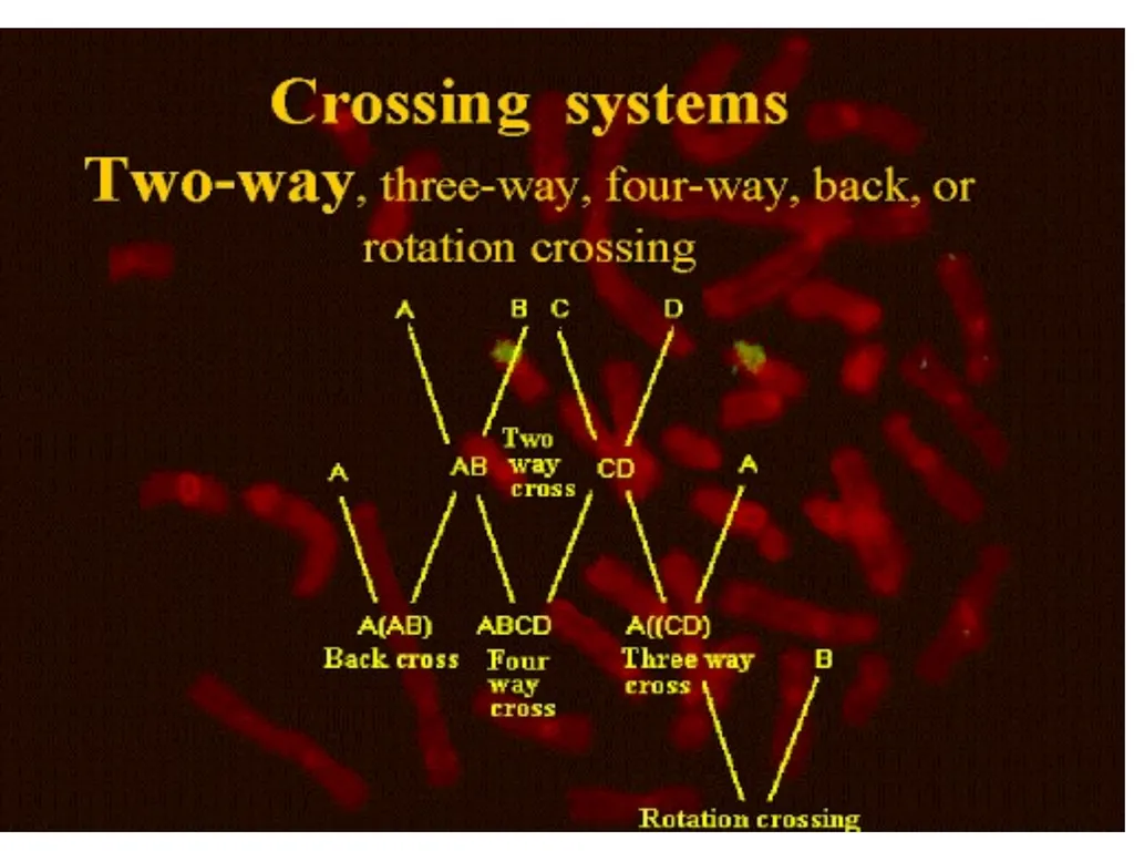 Prepared By-- Dr. Suchit Kumar Asstt. Prof. cum - slide 10 of 21