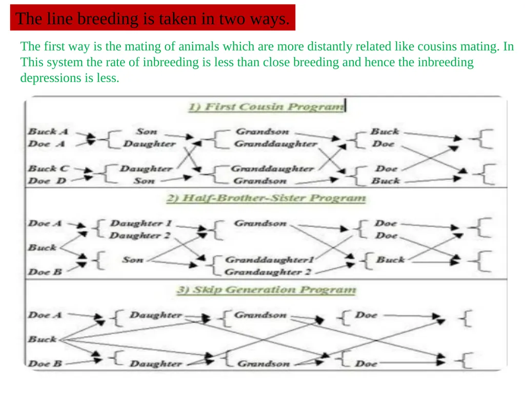Prepared By-- Dr. Suchit Kumar Asstt. Prof. cum - slide 6 of 21