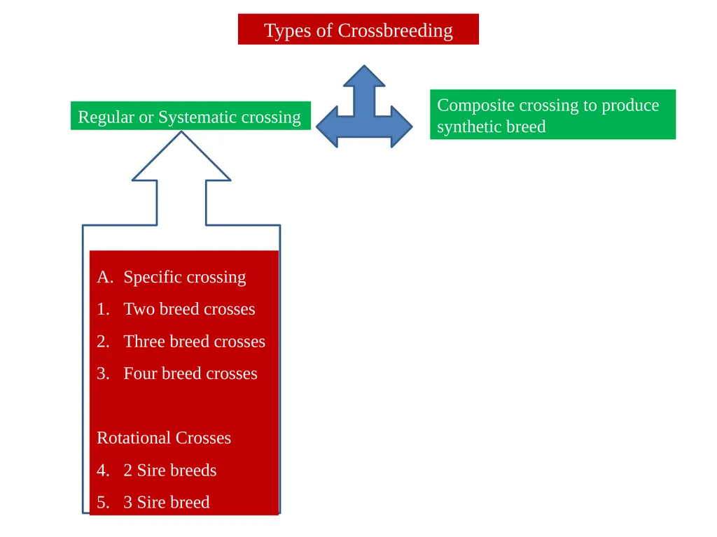Prepared By-- Dr. Suchit Kumar Asstt. Prof. cum - slide 9 of 21