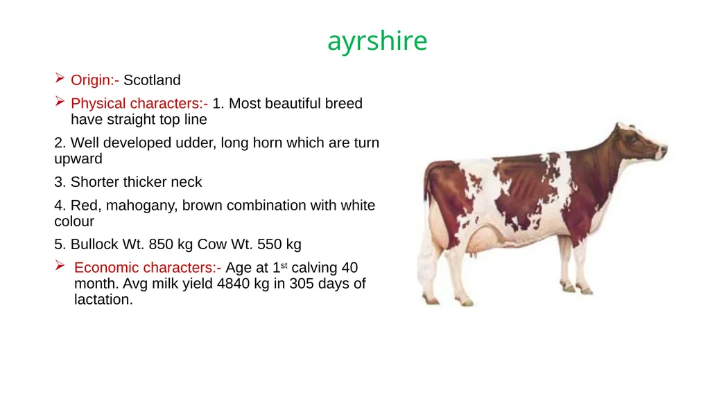 IMPORTANT CATTLE BREEDS AND THEIR CHARACTERISTICS - slide 23 of 26
