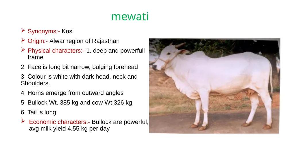IMPORTANT CATTLE BREEDS AND THEIR CHARACTERISTICS - slide 13 of 26