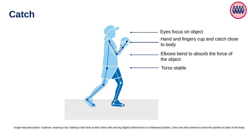 Fundamental movement skills (FMS) Sample physical - slide 6 of 16