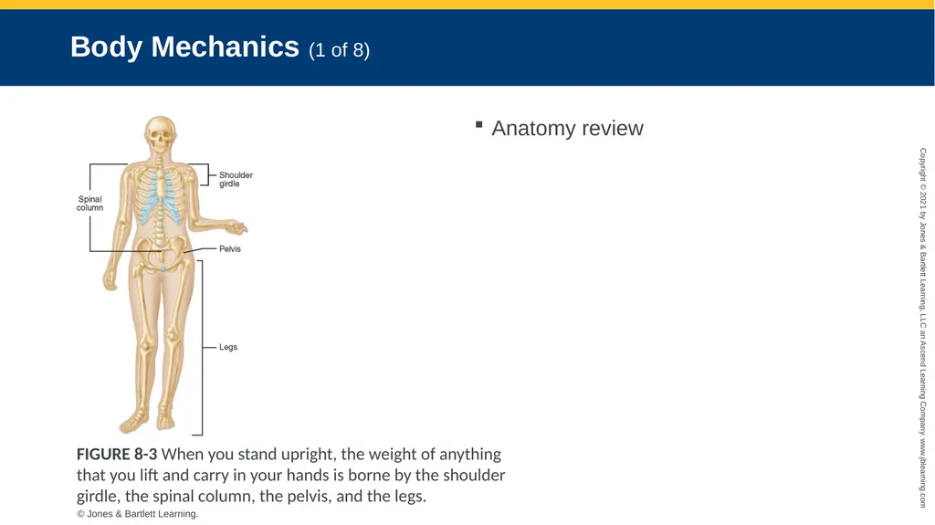 CHAPTER 8 Lifting and Moving Patients National EMS - slide 13 of 101