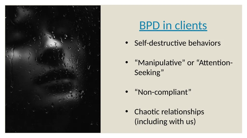 Dialectical Behavioral Therapy for Beginners Matt - slide 7 of 33
