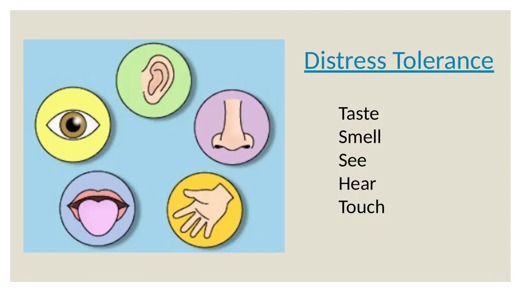 Dialectical Behavioral Therapy for Beginners Matt - slide 16 of 33