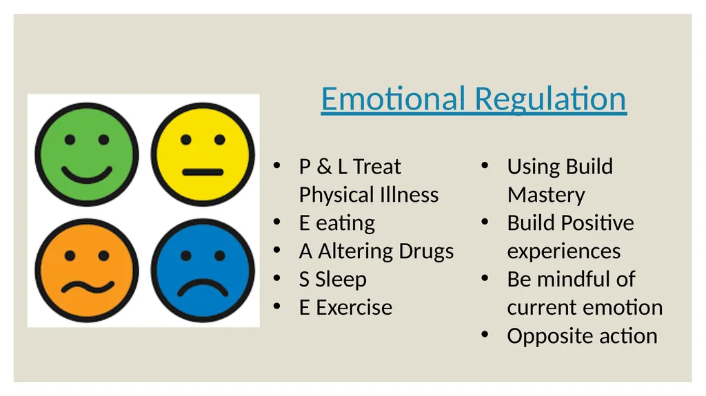 Dialectical Behavioral Therapy for Beginners Matt - slide 20 of 33