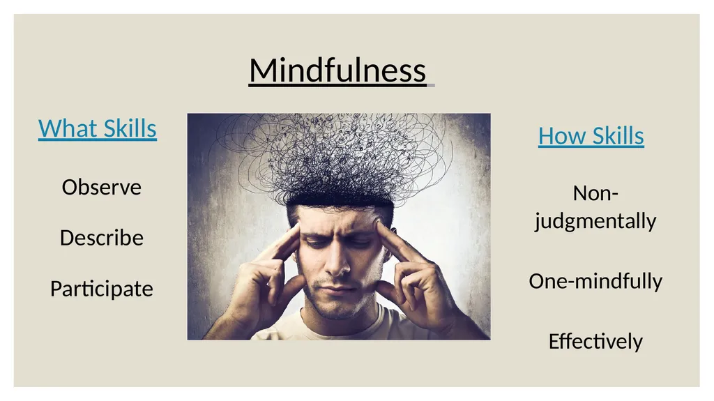 Dialectical Behavioral Therapy for Beginners Matt - slide 11 of 33