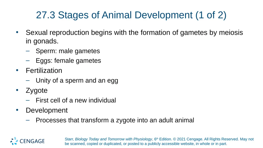Chapter 27 Animal Reproduction and Development - slide 12 of 58