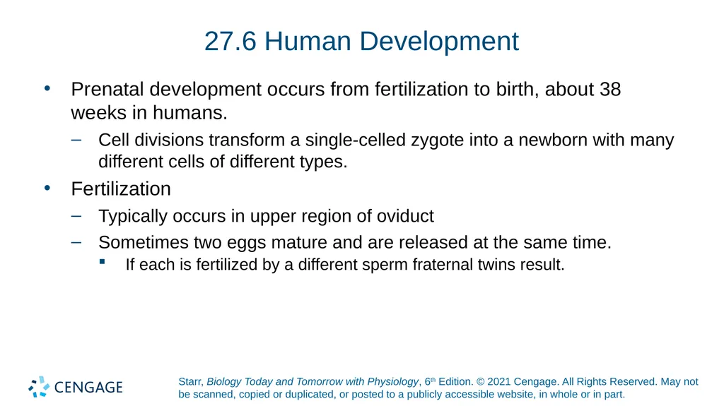 Chapter 27 Animal Reproduction and Development - slide 38 of 58