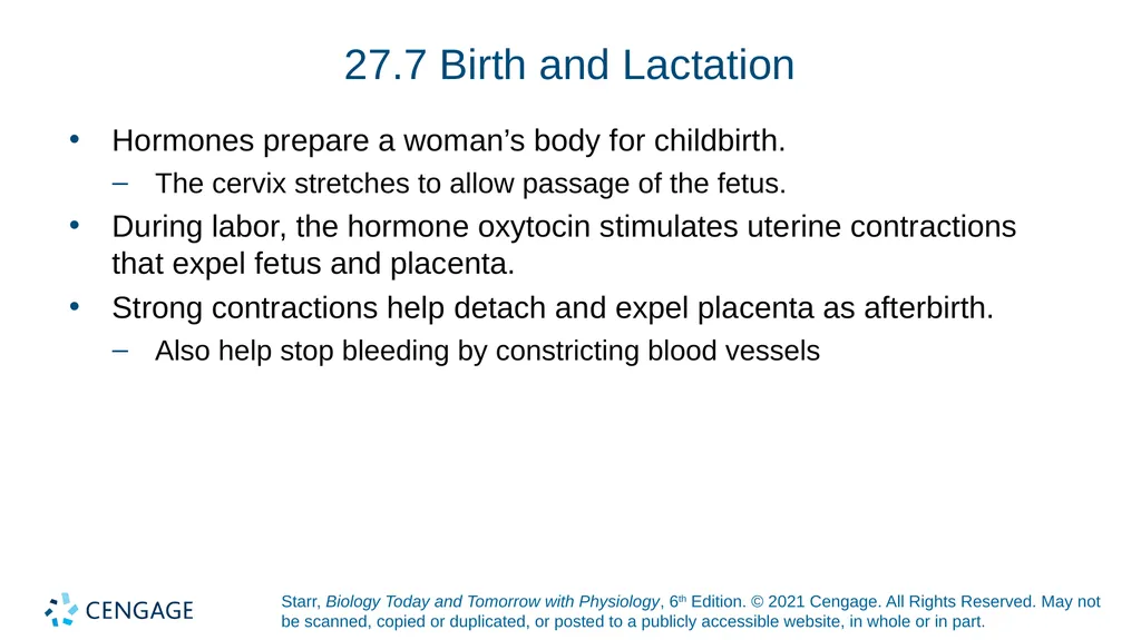 Chapter 27 Animal Reproduction and Development - slide 47 of 58