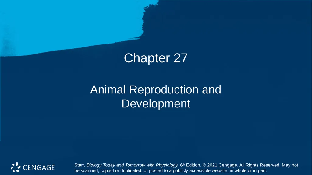 Chapter 27 Animal Reproduction and Development - slide 1 of 58