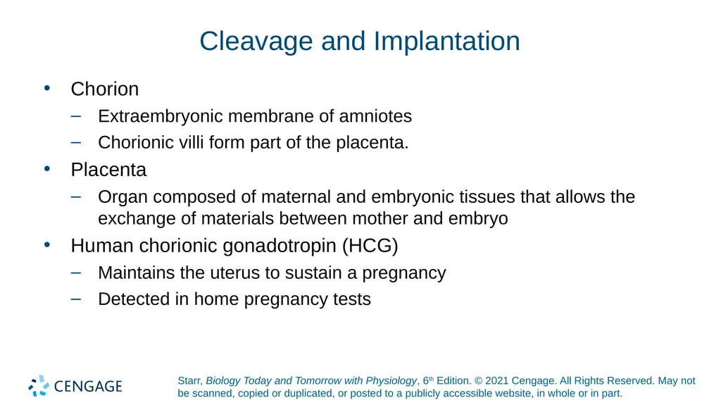 Chapter 27 Animal Reproduction and Development - slide 40 of 58